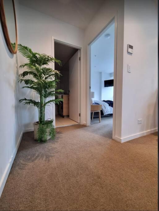 Broadbeach Stunner Modern And Central โกลด์โคสต์ ภายนอก รูปภาพ